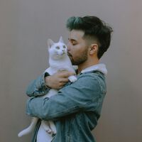 Gato ajuda com estresse? Novo estudo revela que acariciar os bichanos pode nos deixar ainda mais irritados