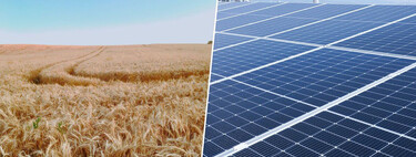 En el campo andaluz ya hay quien gana veinte veces más alquilando su tierra para placas solares que sembrando trigo
