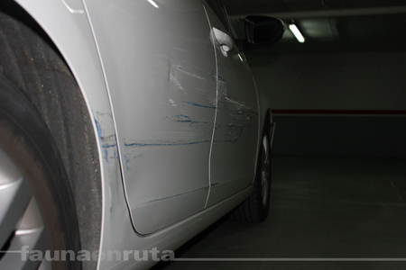 Volkswagen Golf aporreado