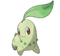 Chikorita