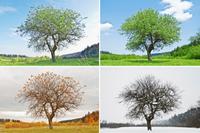 La época del año en que nace el bebé podría determinar su carácter 