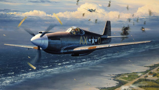 P 51 Mustang 7
