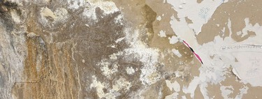 Estos sencillos ingredientes que tienes en la cocina sirven además para limpiar las manchas de humedad: así puedes usarlos 