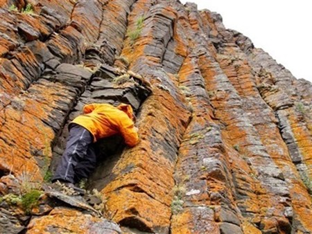 Sabemos algo más sobre la extinción más catastrófica de la historia
