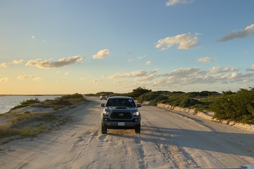 Toyota Tacoma 2020: Un recorrido por más de 500 km