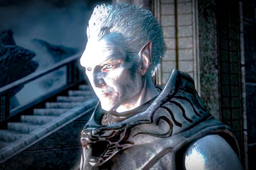 Slyrim Elfos De Las Nieves Falmer