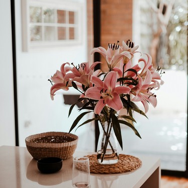 Llegan hoy a Lidl tres plantas con flor para dar vida al salón por menos de diez euros