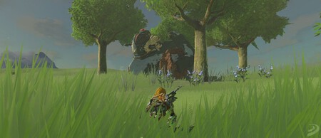 Hynox Zelda Botw