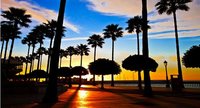 Nueva aplicación móvil para la Costa del Sol
