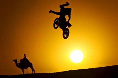 robbie saltando Egipto