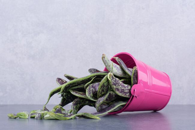 Plantas Muertas