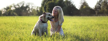 Los perros ya viven tantos años que el cáncer es su principal causa de muerte 