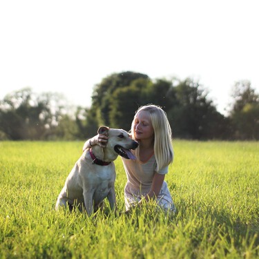 Los perros ya viven tantos años que el cáncer es su principal causa de muerte 