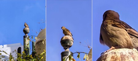 Telefoto 1 Huawei Mate X7