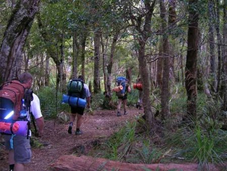 Actividades para disfrutar el aire libre en otoño