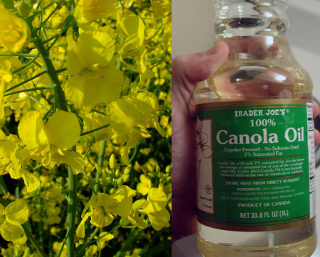 Aceite de canola, un escudo para el corazón