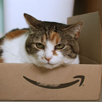 Amazon elige sede, pero ¿han pagado de más las elegidas? 