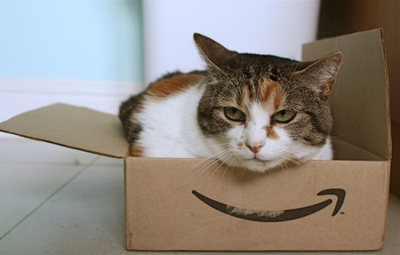 Amazon elige sede, pero ¿han pagado de más las elegidas?