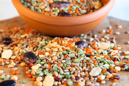 Jumpstory Download20220830 182929