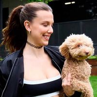 "Olvídate de Bobby, olvídate de Brown": Millie Bobby Brown confirma su cambio de nombre al tiempo que termina su etapa 'Stranger Things'