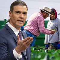 Cada vez hay menos españoles trabajando, pero la inmigración está maquillando las cifras. Esto será un problema en 30 años