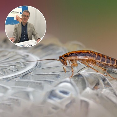Manuel García Howlett, experto en control de plagas: “Ante la primera cucaracha hay que actuar; pueden infestar una vivienda rápidamente”