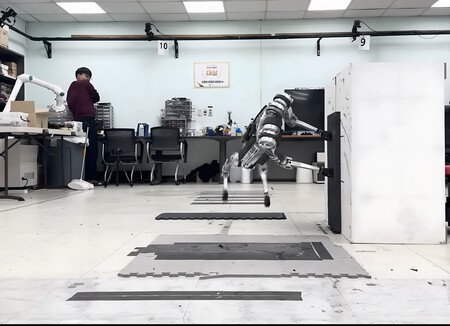 Raibo robot