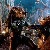 El director de las nuevas pelis de Predator es un impaciente. Estrenará dos cosas este año solo porque quería ponerse a trabajar ya en un tercer proyecto