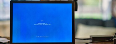Si llevas un loro en el hombro y te gusta cruzar el mar (guiño, guiño), Microsoft ha acabado con tu versión de Windows 