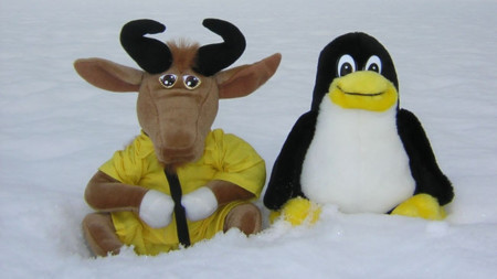 Cómo migrar de Windows XP a GNU/Linux