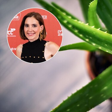 Aplicarse aloe vera en la piel cuando nos quemamos es un error, según Boticaria García: estos son los motivos