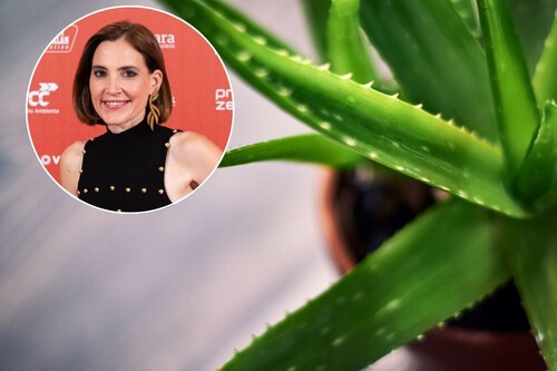 Boticaria García Aloe vera