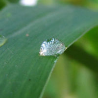 En la pyme también se crece como trabajador 