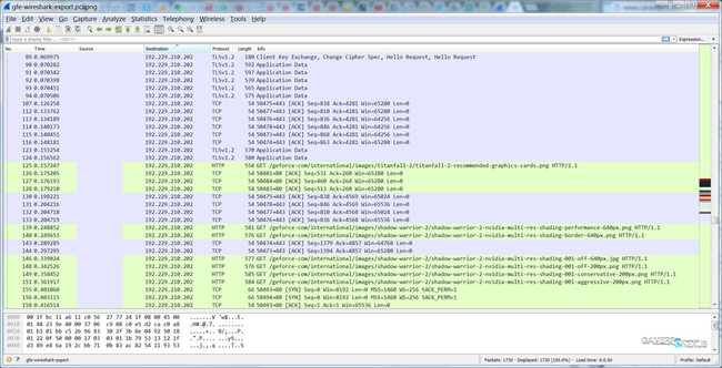 Gfe Capture Wireshark