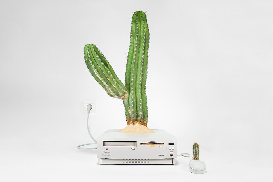 Plant You Mac Macustus Monsieur Plant 2016 21