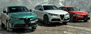 Otro país de Europa mira al proteccionismo y quiere eliminar las ayudas a la compra de coches chinos y de Tesla