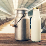 Por qué beber leche cruda es un riesgo innecesario para tu salud