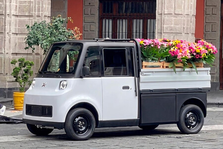 Olinia Carga 3