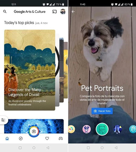 ペットポートレート