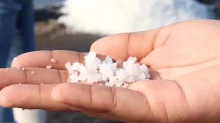 Este es el destino de México donde se produce el tesoro de la cocina conocido como el “oro blanco” / Foto: Freepik Ruta de la Sa
