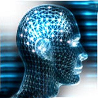 Breves apuntes sobre la inteligencia humana (y las trompas de elefante) (y II)