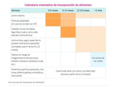 Alimentacion complementaria