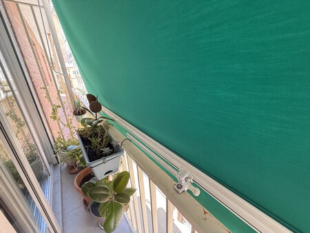 Toldo