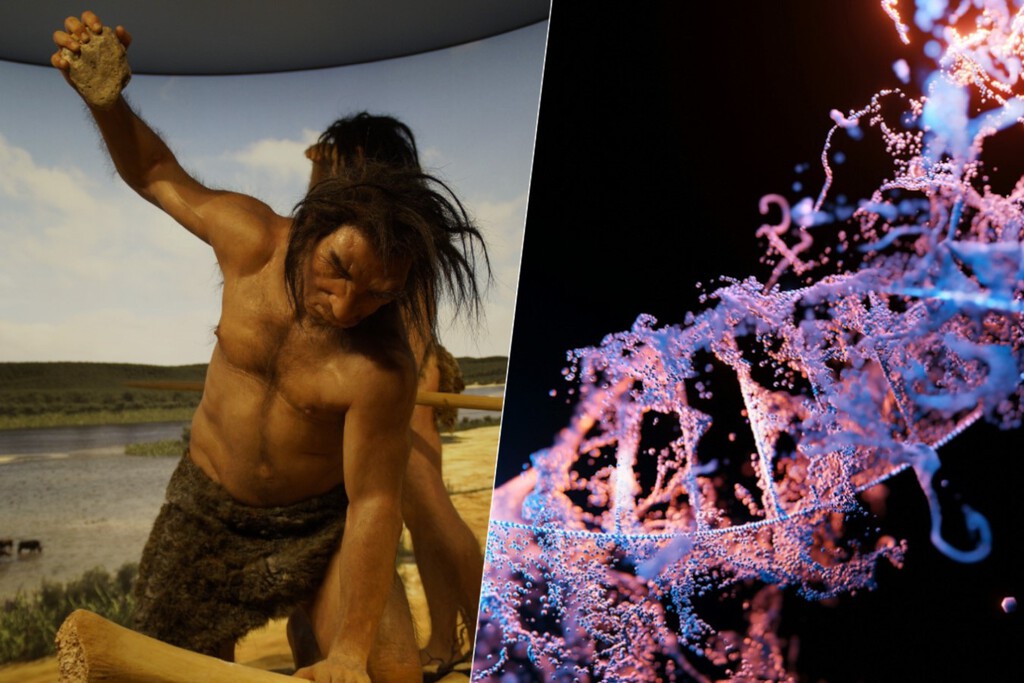 Hemos encontrado una nueva “herencia” genética de los neandertales: en los trastornos del espectro autista