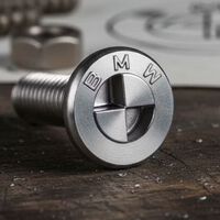 Ni robos, ni tampoco arreglar el coche en casa. Los tornillos que acaba de crear BMW son la pesadilla de cualquiera que no tenga una llave especial