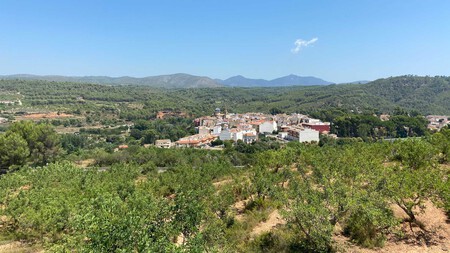 Navajas