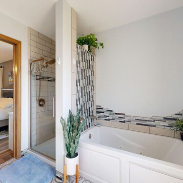 Cuatro plantas ideales para tener en el baño: soportan la humedad y ayudan a mantener un ambiente más fresco 