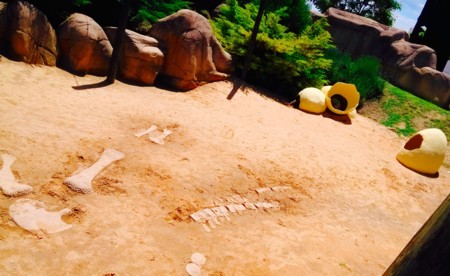 Paleosenda en Dinópolis