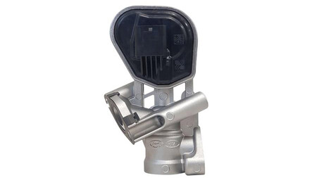 Egr Valvula 1