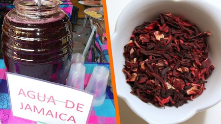 Esta es la razón por la que no es recomendable hervir la Jamaica antes de preparar una bebida, según una especialista
